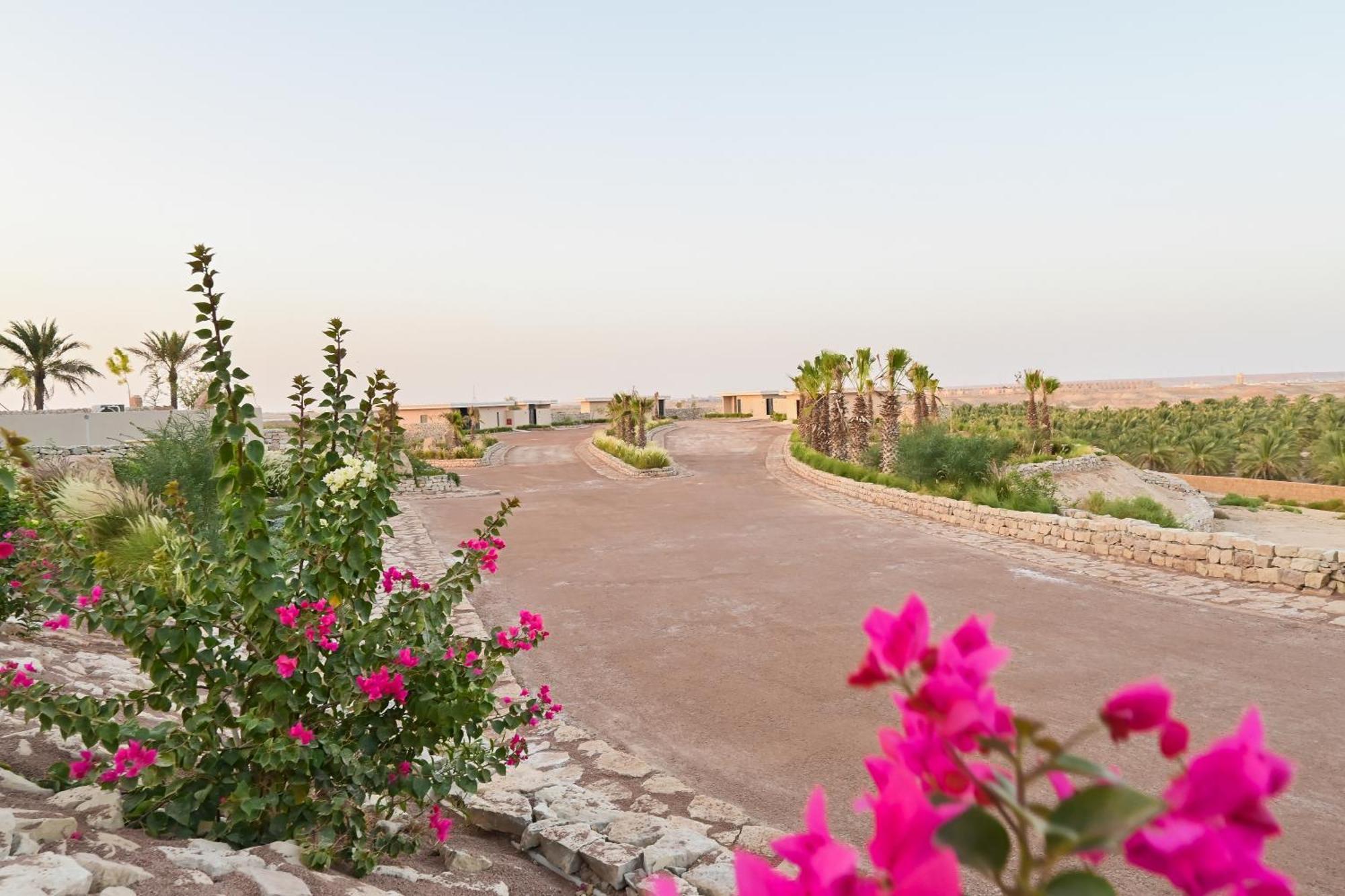 Al Malfa Resort Unaizah Extérieur photo